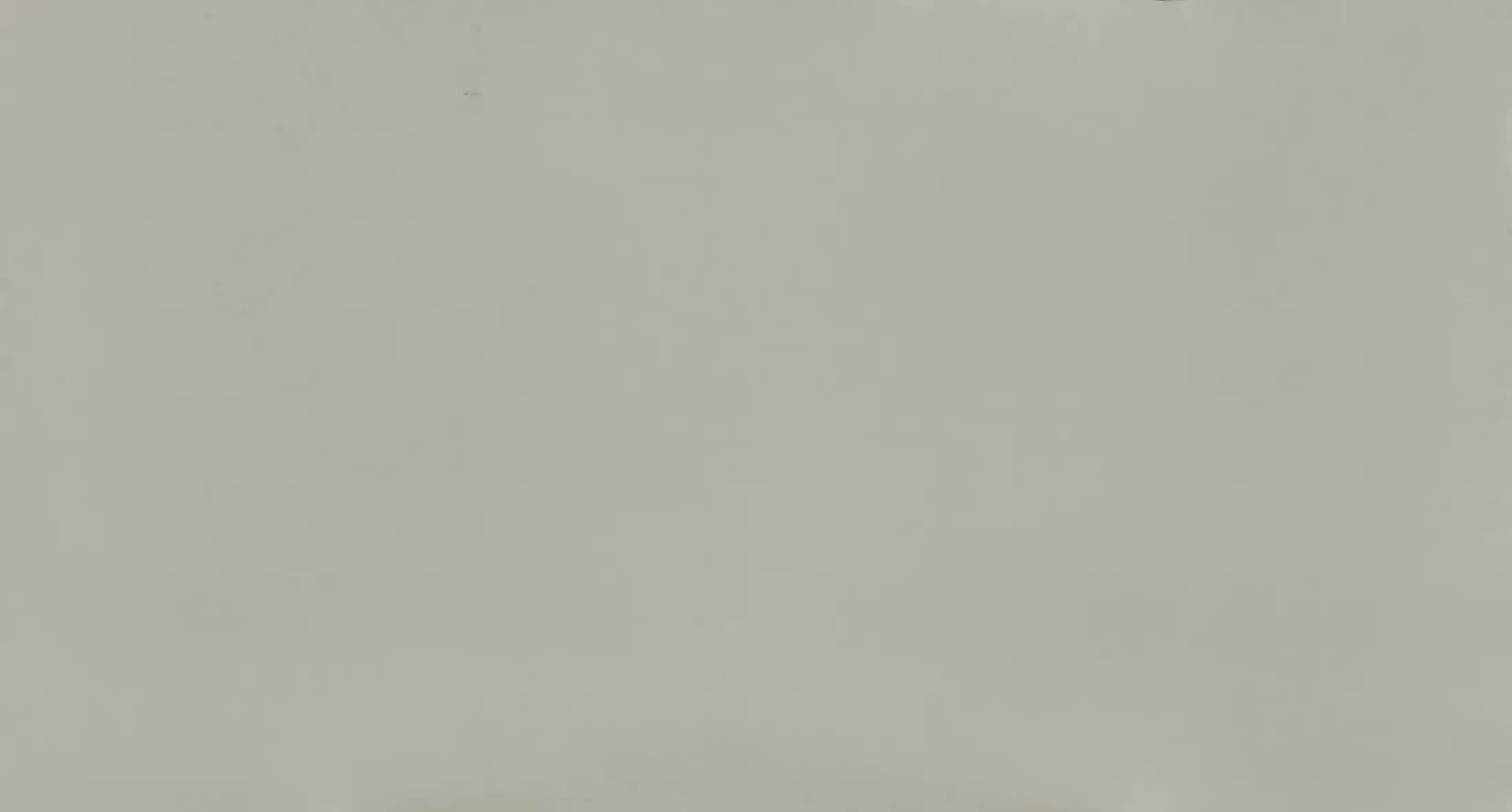 Dallage de sol Silestone Cincel Grey - image 2