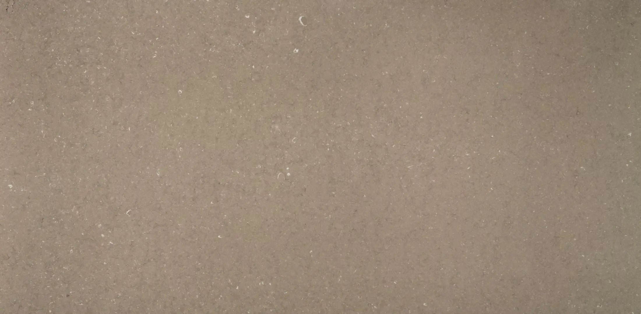 Dallage de sol Silestone Coral Clay Colour - image 2