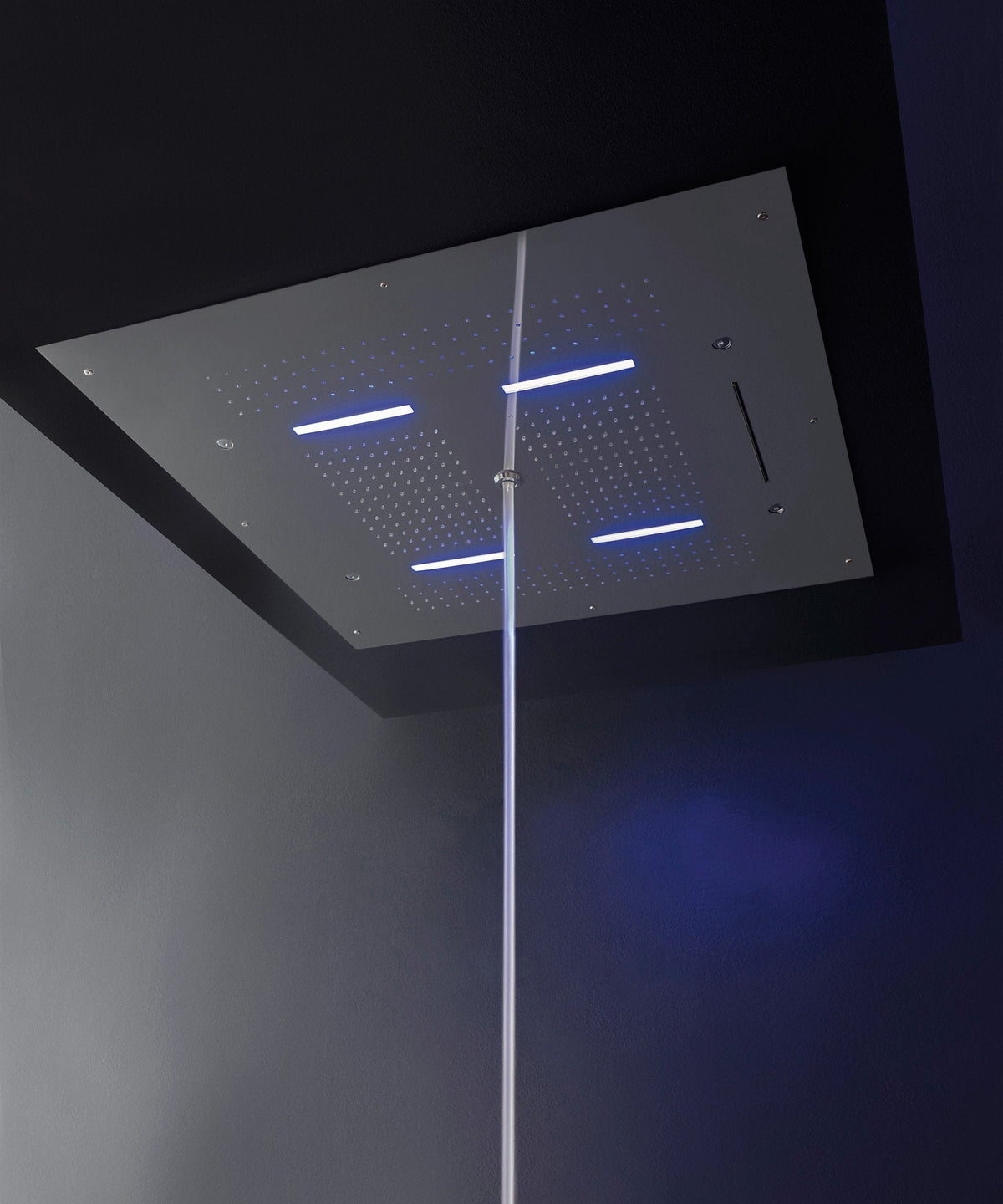 Douche de plafond Treemme dans une salle de bain sombre
