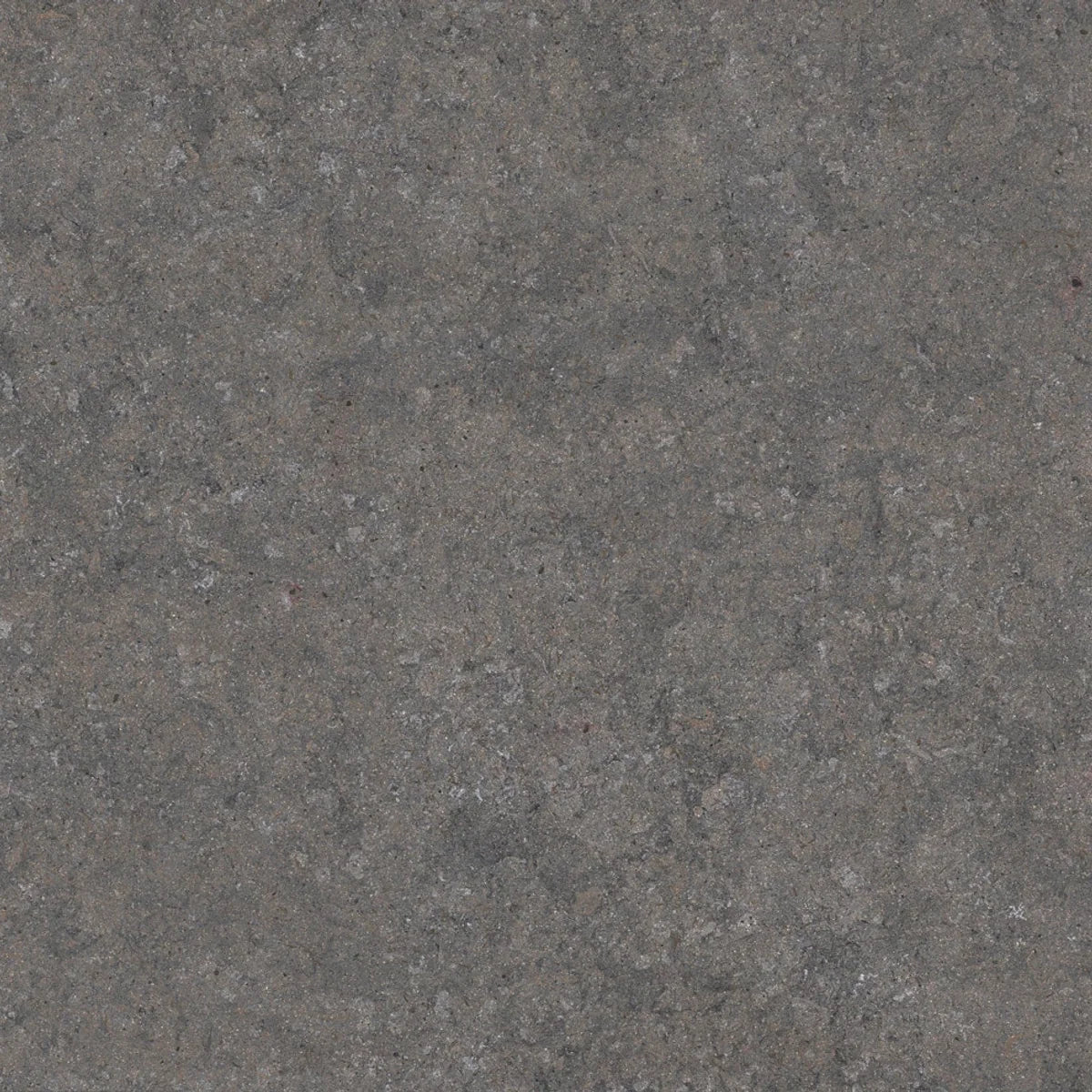 Dekton Grafite - couleur et matière