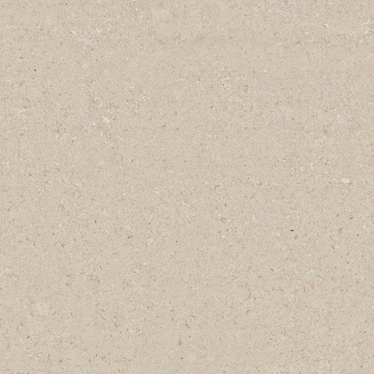 Dekton Vk02 Avorio - couleur et matière