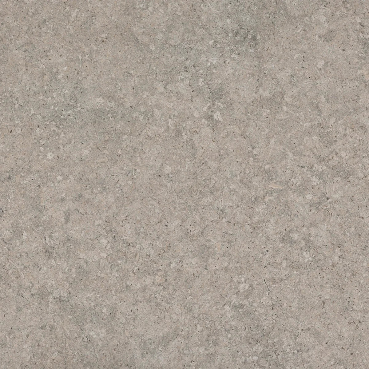 Dekton Vk03 Grigio - couleur et matière