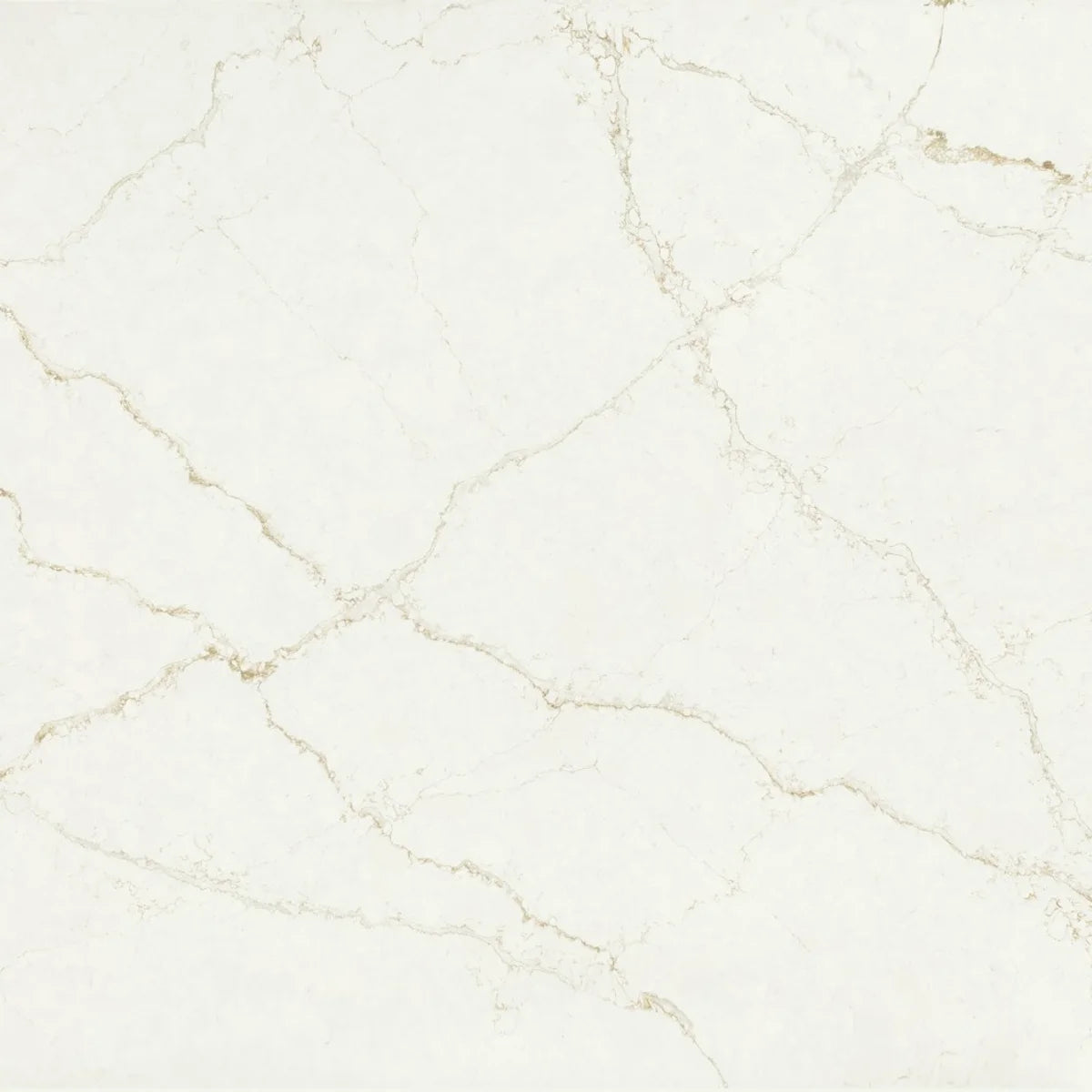 Plan de travail Silestone Blanc Élysée - matière
