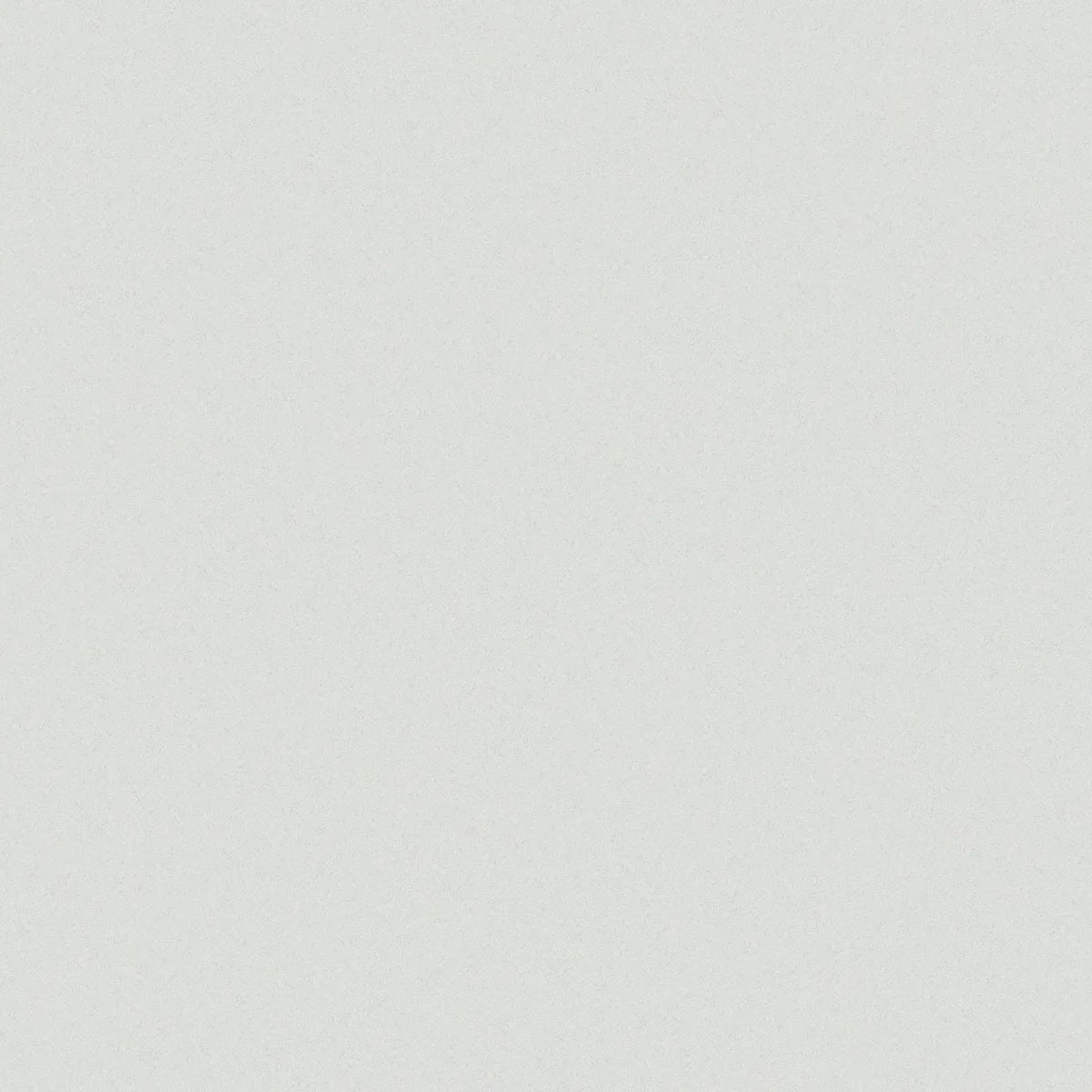 Plan de travail Silestone Blanco Norte - matière