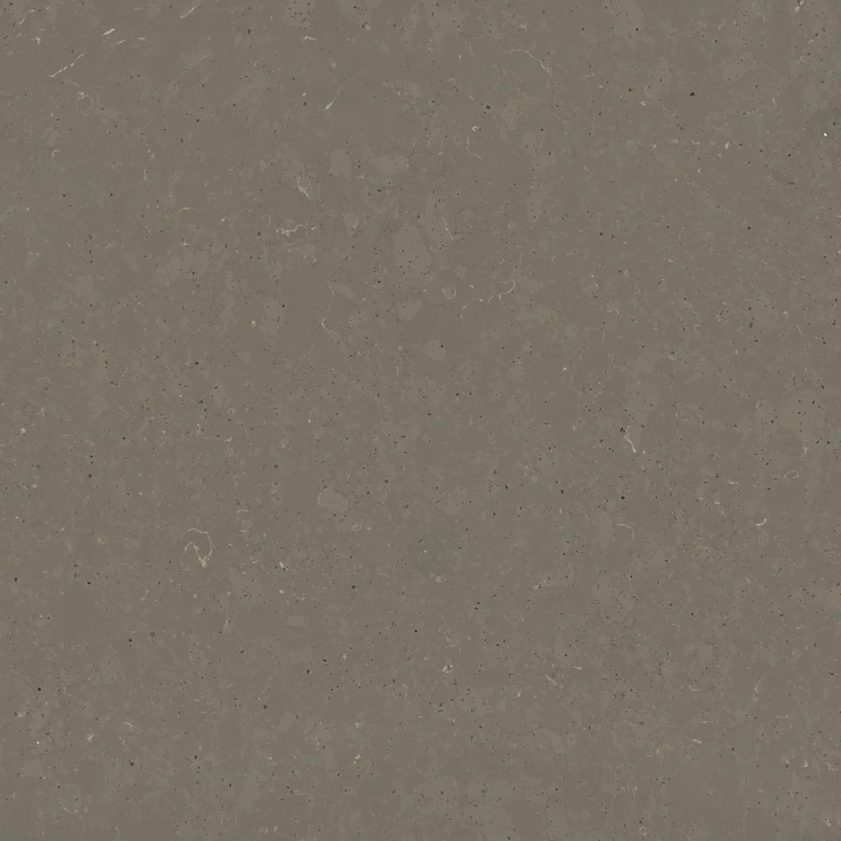 Plan de travail Silestone Brass Relish - matière