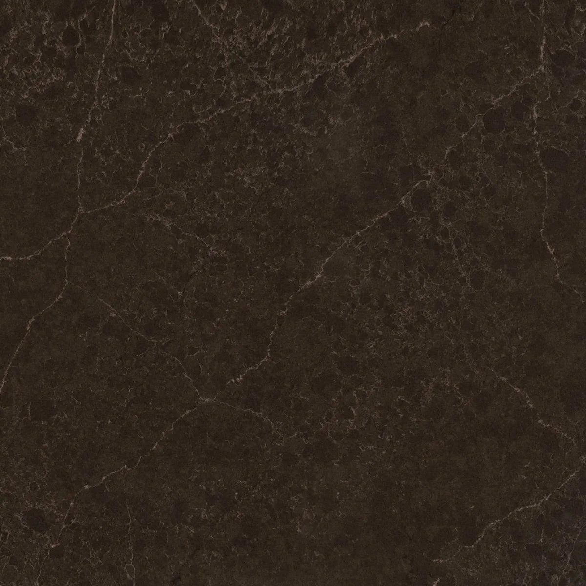 Plan de travail Silestone Château Brown - matière