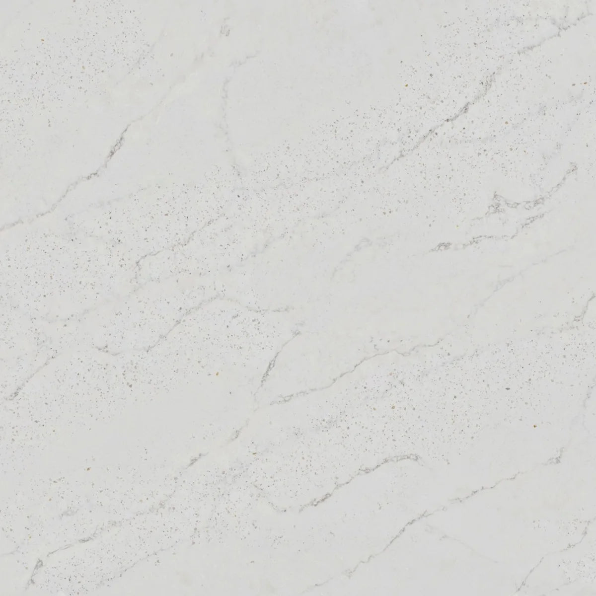 Plan de travail Silestone Eclectic Pearl - matière
