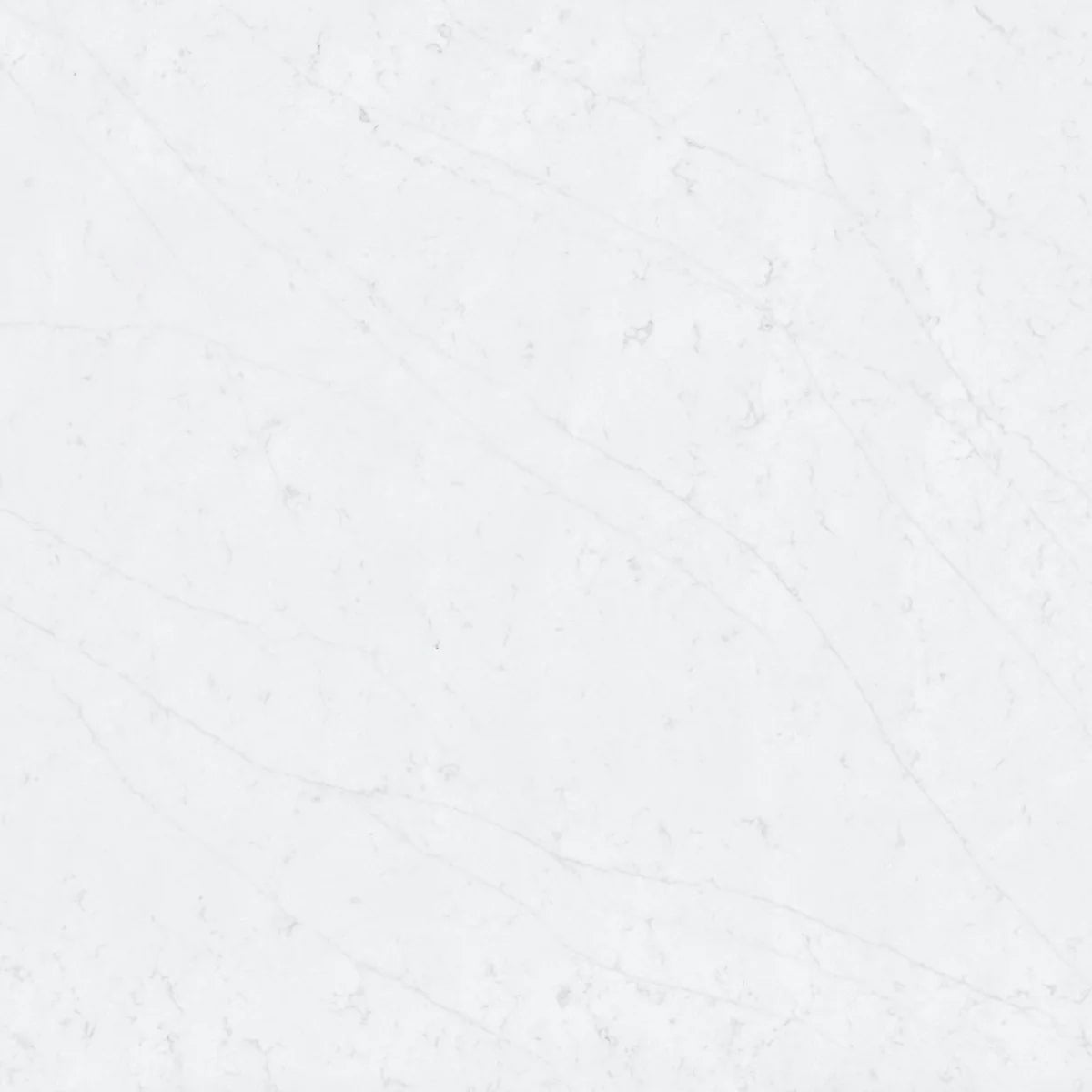 Plan de travail Silestone Et Statuario - matière
