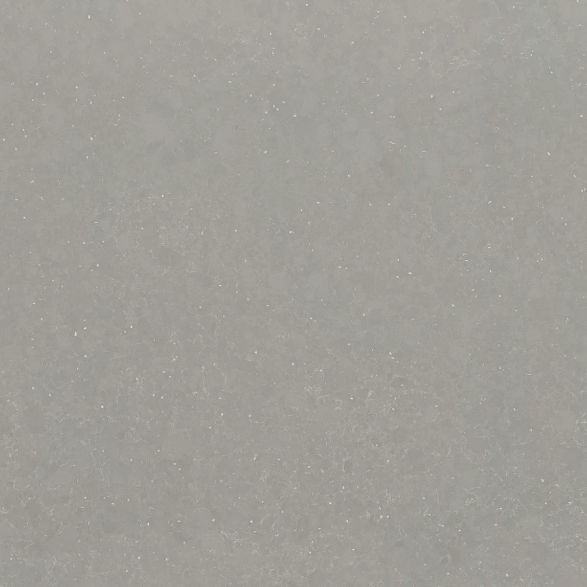Plan de travail Silestone Ffrom01 - matière