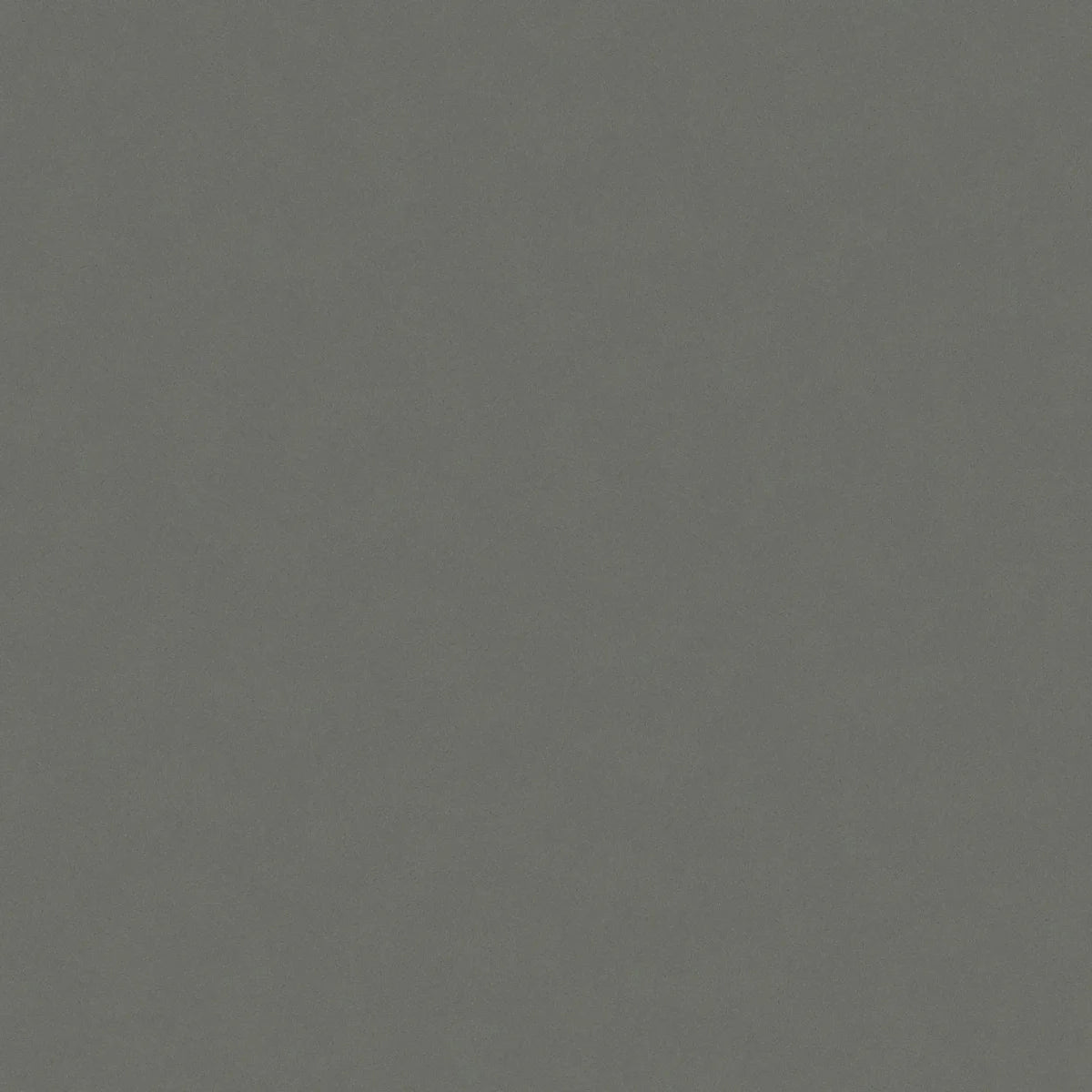 Plan de travail Silestone Gris Expo - matière
