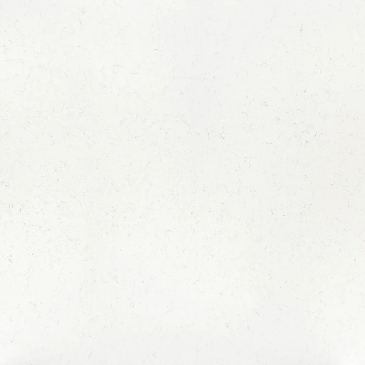 Plan de travail Silestone Miami Vena - matière