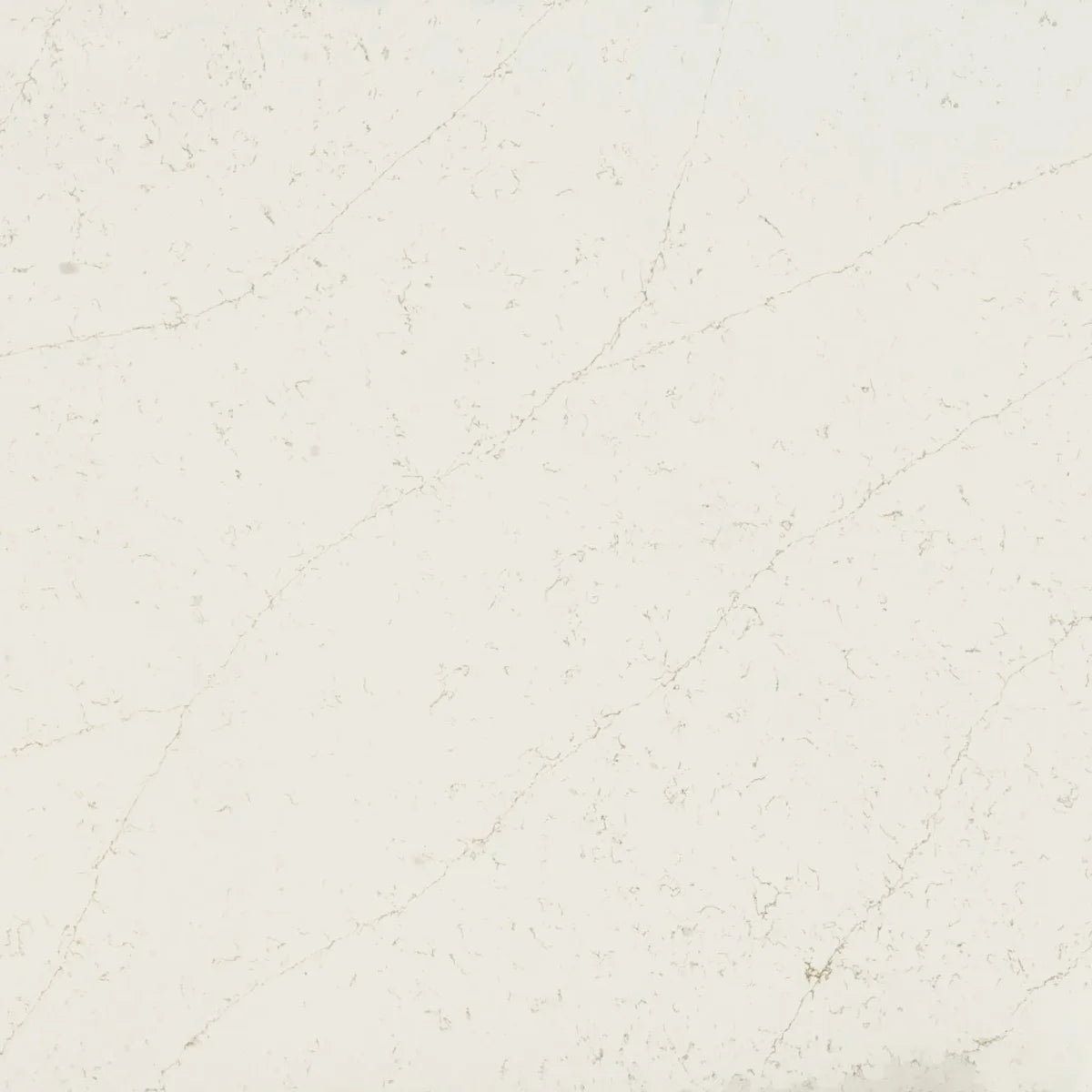 Plan de travail Silestone Persian White - matière