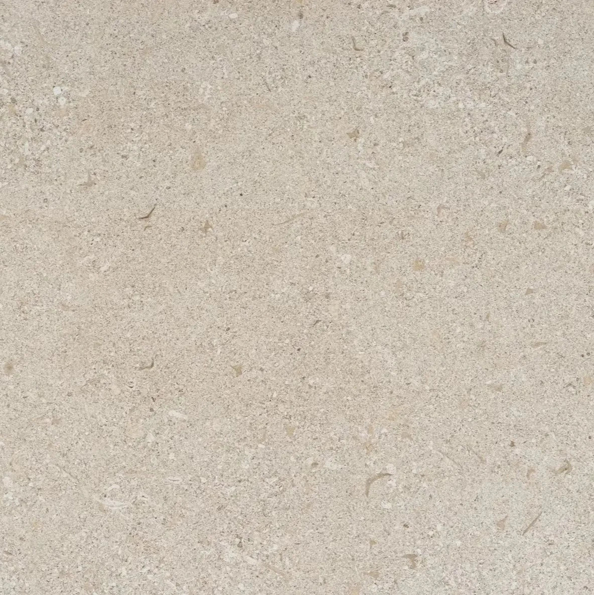 Revêtement Mural Dekton vk02 avorio