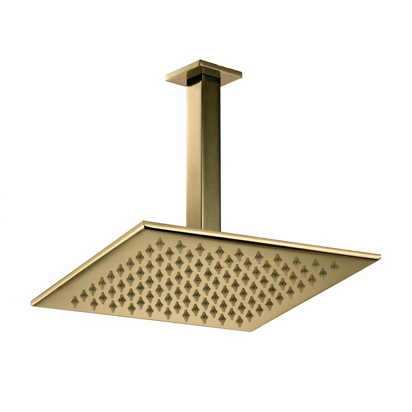 Douche de tête anticalcaire avec bras au plafond - Treemme Q30 - IT 0496 CC ZZ ZZ - Laiton brossé (UZ)
