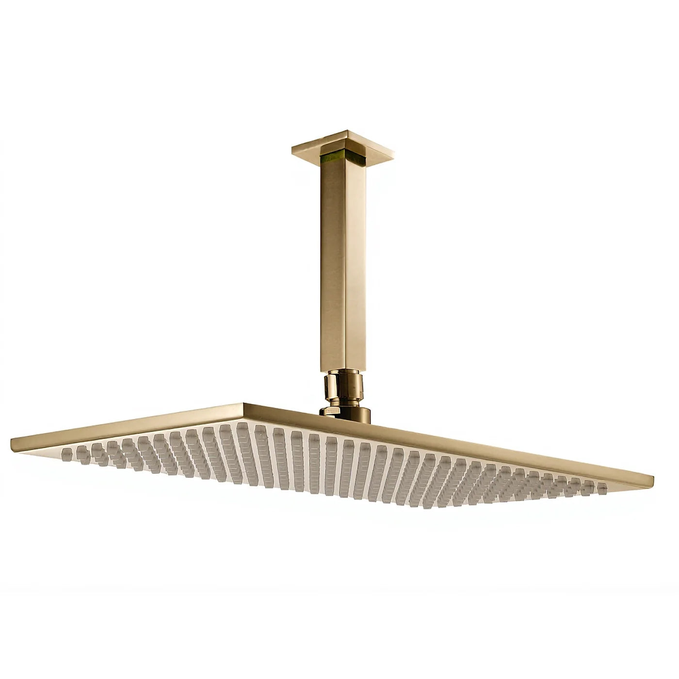 Douche de tête anticalcaire avec bras au plafond - Treemme Archè - IT 6591 CC ZZ ZZ - Nickel brossé (NF)